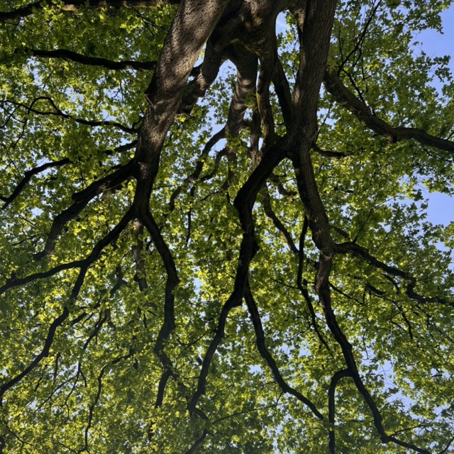 Breathe