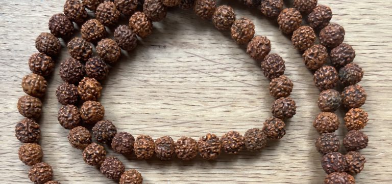 Teil 3: Die verborgene Kraft der Asanas